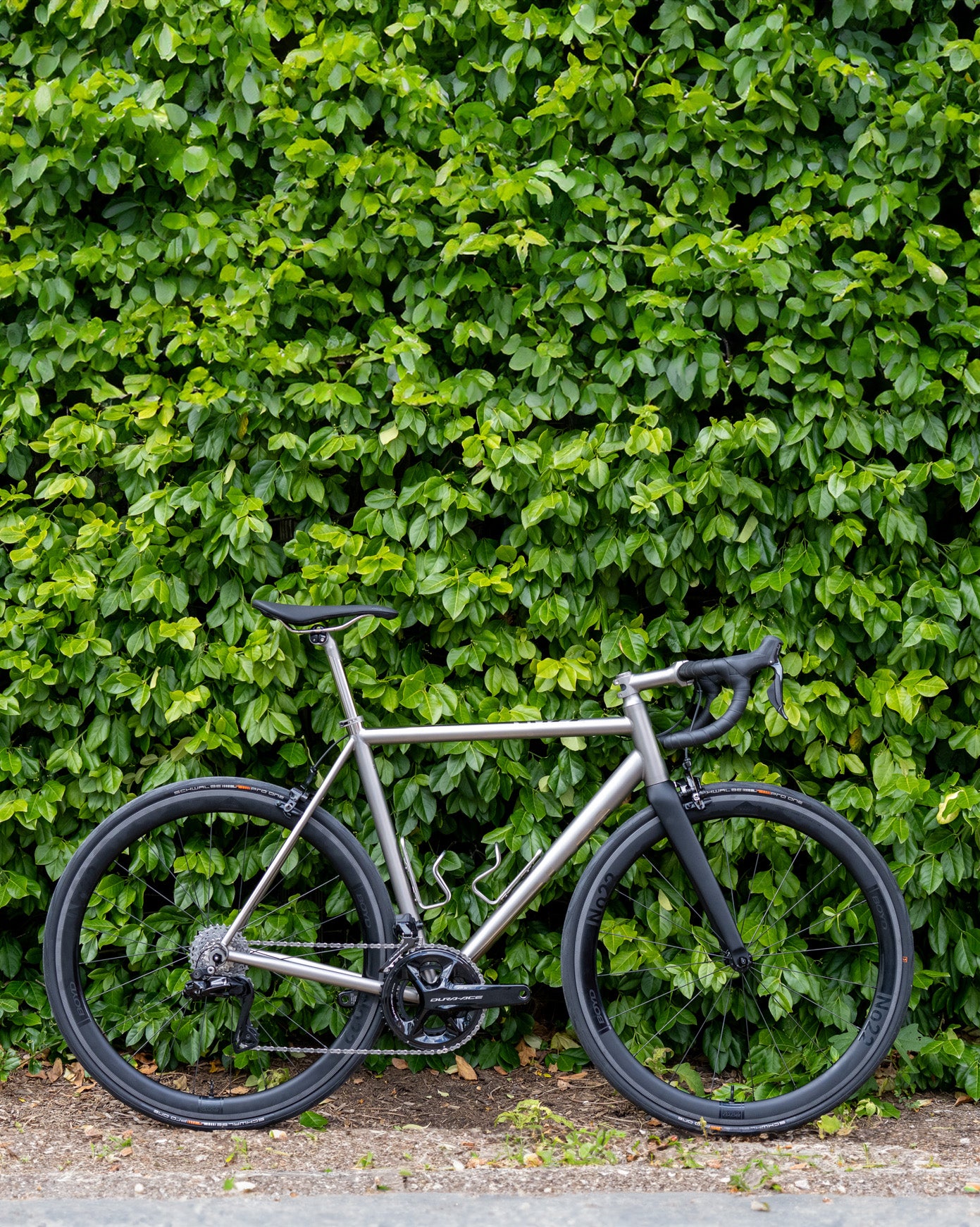 Great Divide Rim